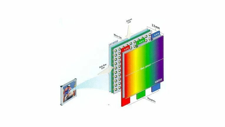 Feed display