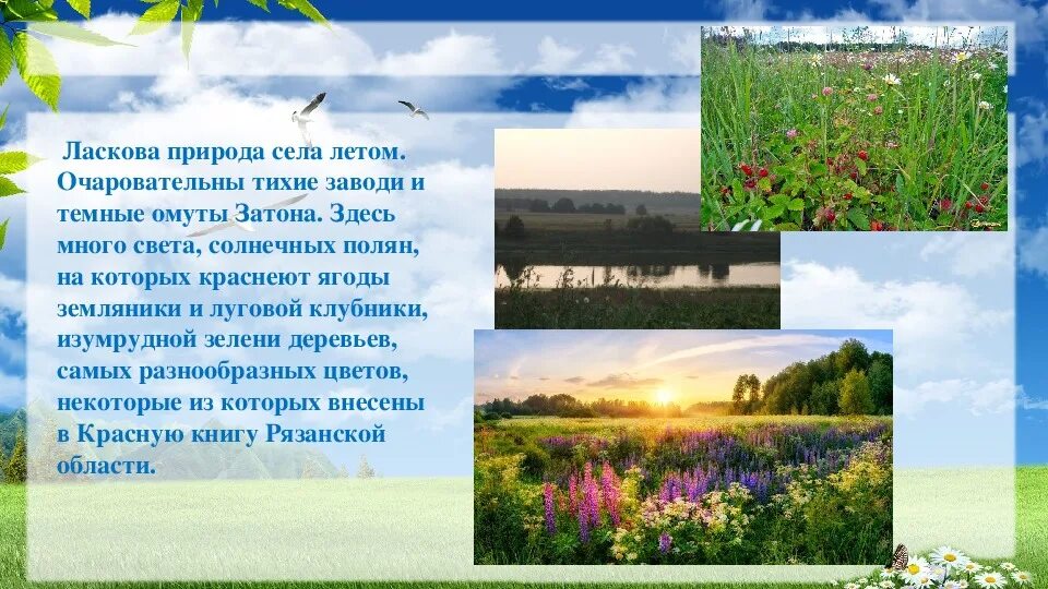 Лето описание природы. Описание летней природы. Проект о природе. Описание природы села. История про природу