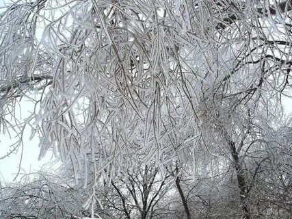 Шел ледяной дождь