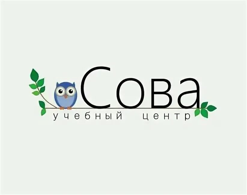 Учебный центр сова. Центр сова. аналитический центр сова.