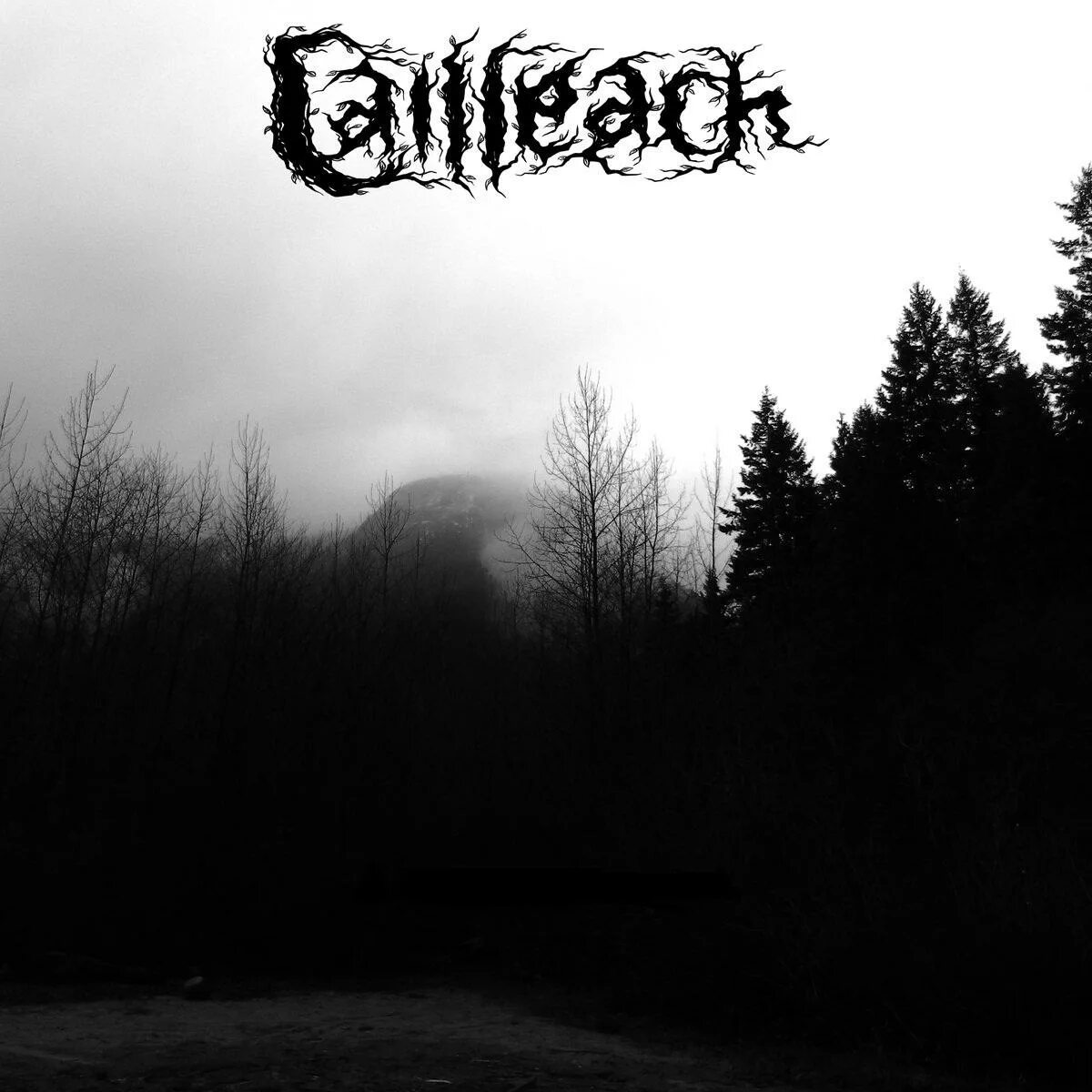 Atmospheric Black Metal. Atmospheric Black Metal обложки альбомов. Wedard группа. Cailleach группа. Post black