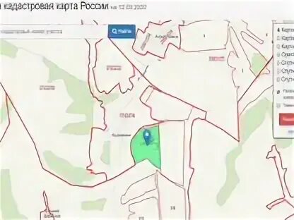 21 гектар
