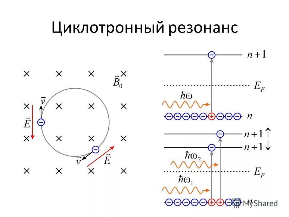 Вынужденные колебания резонанс график. Юргинский газеты. Газета резонанс-ю юрга. Резонанс ю. Вынужденные колебания резонанс схема.