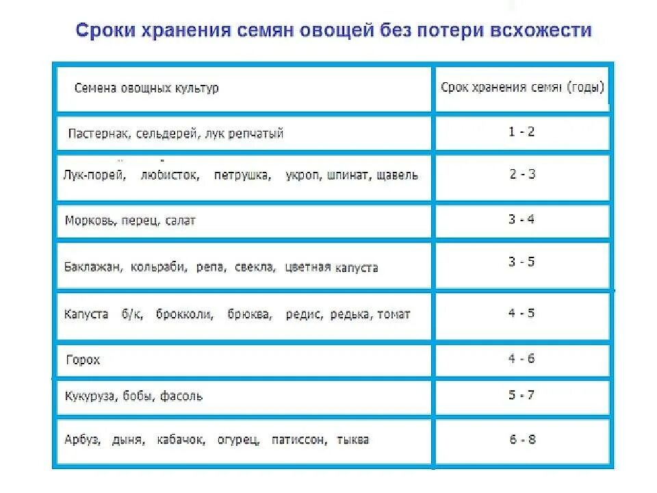 Семена каких растений сохраняют жизнеспособность меньше всего. Срок годности семян томатов на всхожесть. Срок годности овощных семян таблица. Сроки всхожести семян овощей таблица. Сроки прорастания семян таблица овощей.