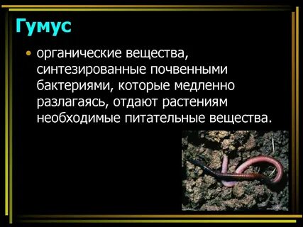 Гумус минеральное вещество почвы