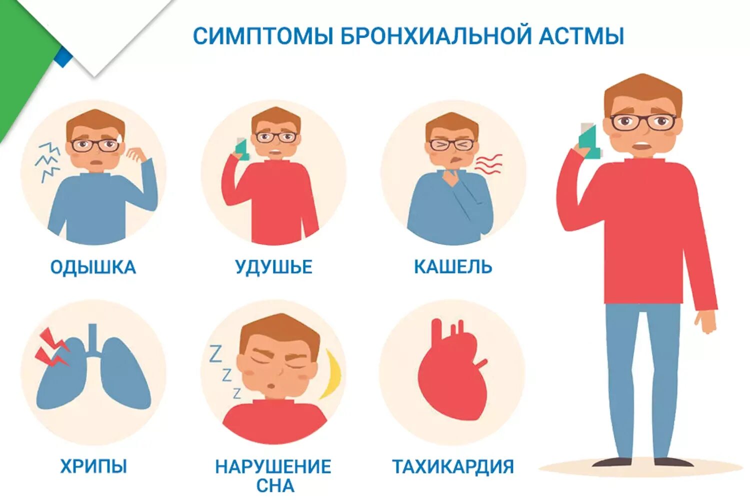 Астма передается детям. Симптомы бронхиальной астмы памятка. основной симптом при бронхиальной астме. бронхиальная астма симптомы у взрослых. проявления симптомов бронхиальной астмы.
