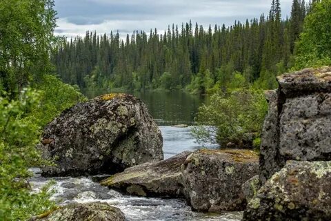 Мурманский заповедник