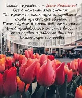 Открытки с днем рождения красивые цитаты
