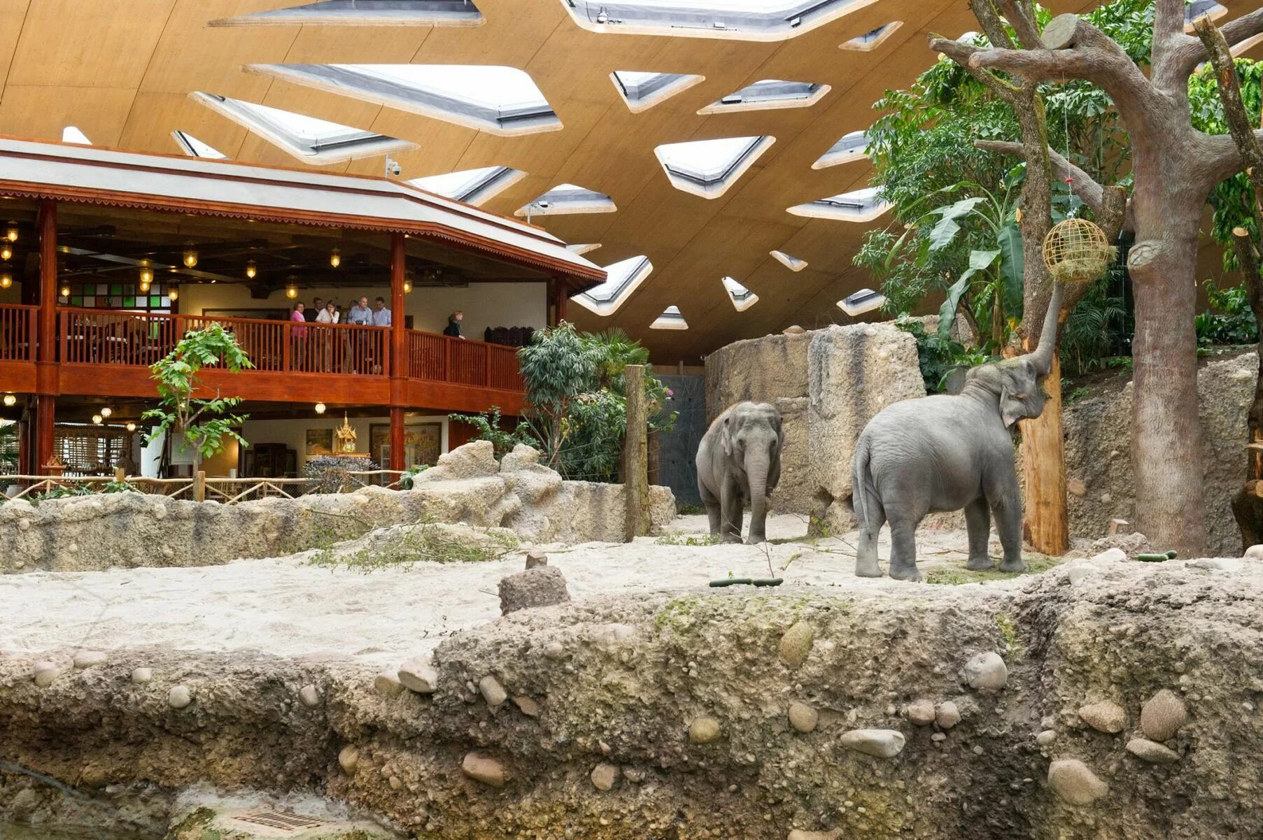 Сафари-парк зоопарка Сан-Диего. Цюрихский зоопарк. Zürich Zoologischer Garten Цюрих. Зоопарк Калгари. Культура зоопарки