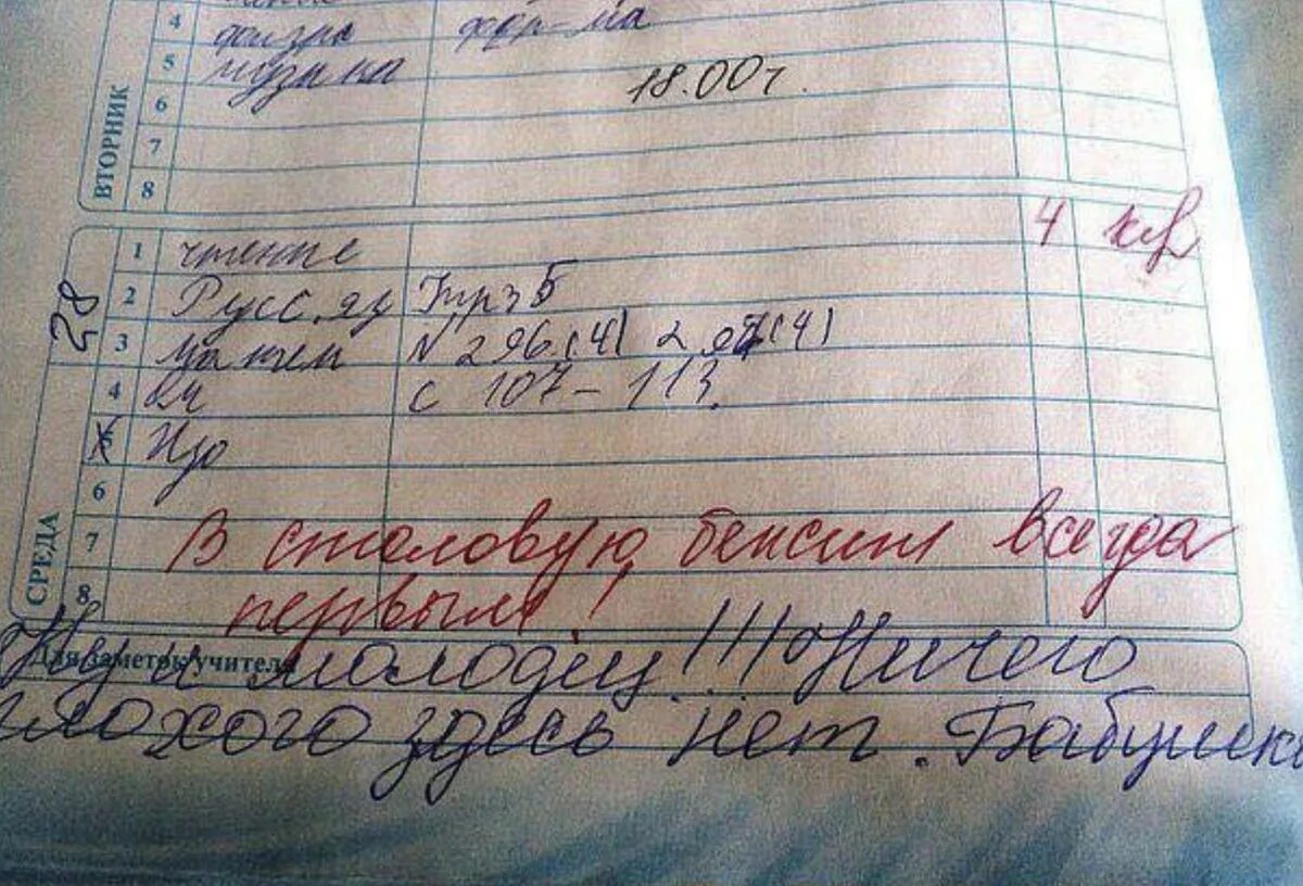 Прикольные замечания в дневниках. Имеет ли право учитель. Учитель не отвечает на сообщения. Учитель не отвечает на сообщения. Имеет ли учитель право выгонять ученика с урока.