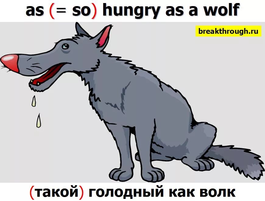 Hungry перевод на русский. артур и раскал спотлайт 4. Sad bored angry scared tired hungry. картина с надписью hungry. Angry, bored, happy, hungry, sad, scared, tired.