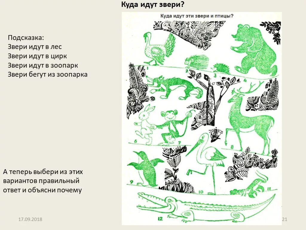 На каких зверей идут. Лесные животные задания. Логичные задания по биологии. Логические задачи по биологии. Куда идут животные.