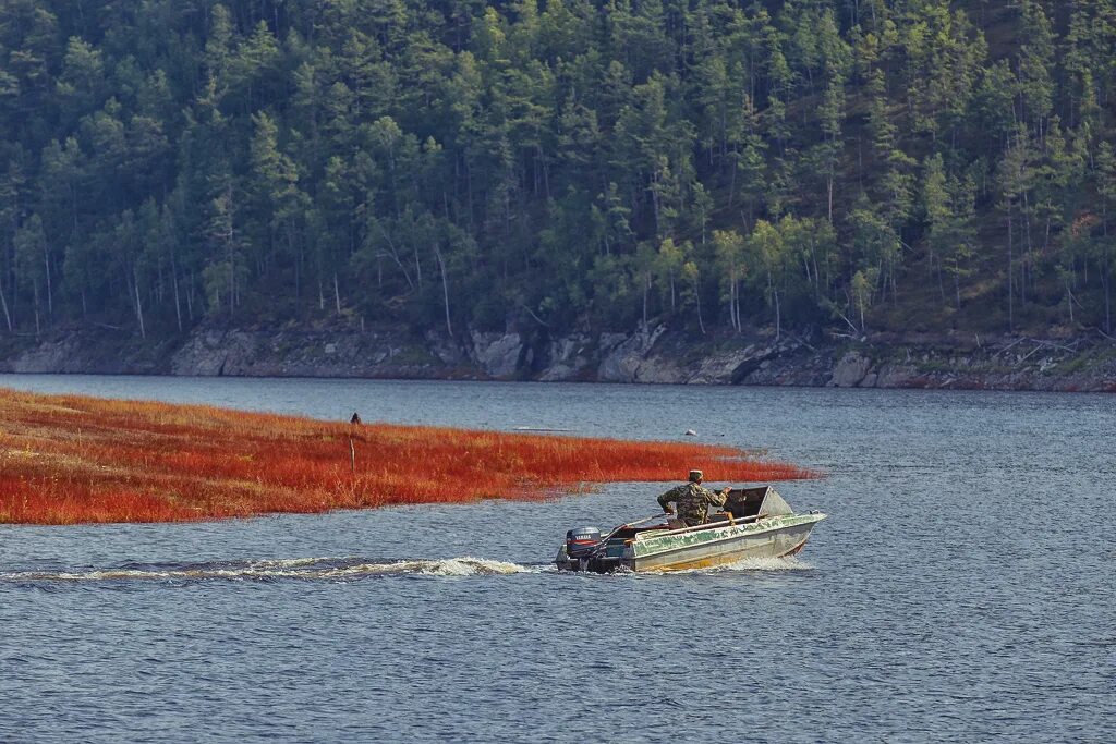 Береговой зейского района. Зейское море в Амурской области. Зейское водохранилище золотые Пески. Зейский берег. Золотая гора Зейский район Амурская область.