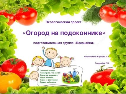 Презентация проекта огород