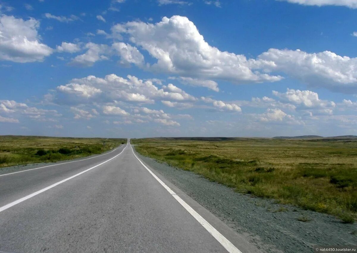 а дорогой серою лентою вьется