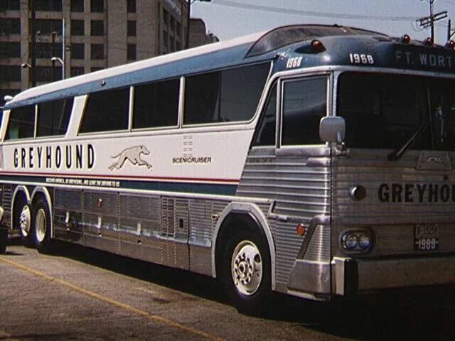 Американские автобусы грейхаунд. Грейхаунд автобус сша. Greyhound автобус. Greyhound bus. Greyhound bus.