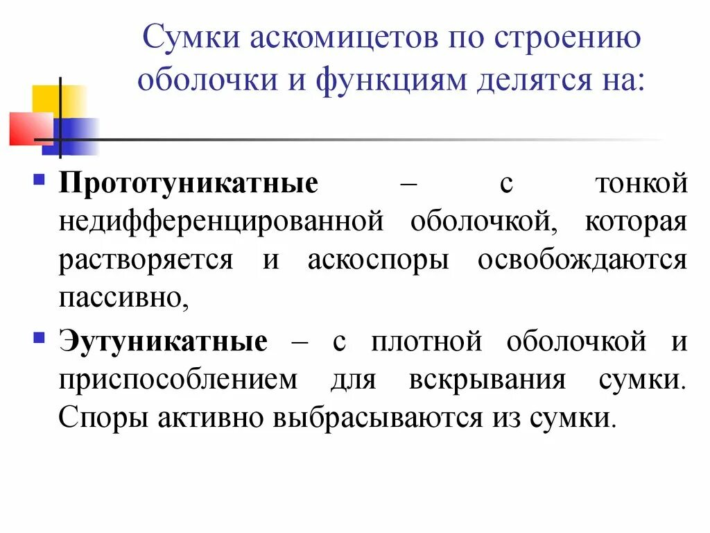 По каким функциям делится информация