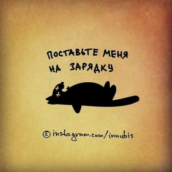 Кот только проснулся. Лень. Веселые картинки с подписями. Коты с подписями. Я не ленюсь я на подзарядке.