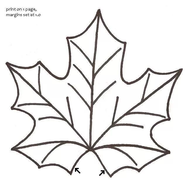 Шаблон кленовый лист распечатать Leaf of a maple nature symbol monochrome Vector Image
