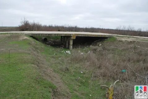 Рп5 село брянск дагестан