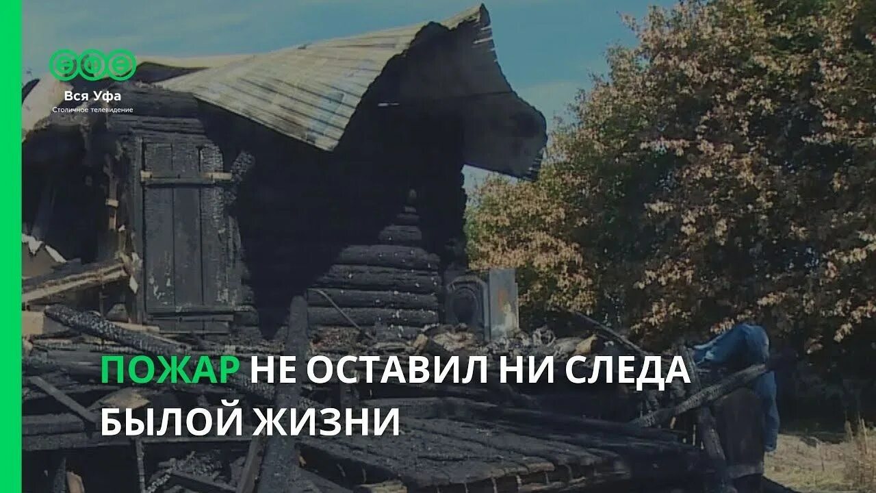 Цитата про отпечатки. Фразы следы. Мы будем первым поколением что не оставит от себя следов. Не осталось ни следа. Следы на пляже.