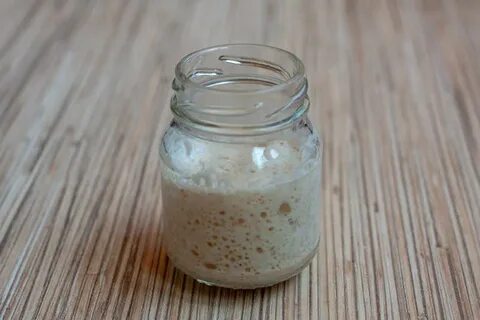 Молочно кислая закваска