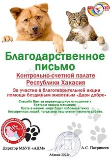 Акция помоги бездомным животным