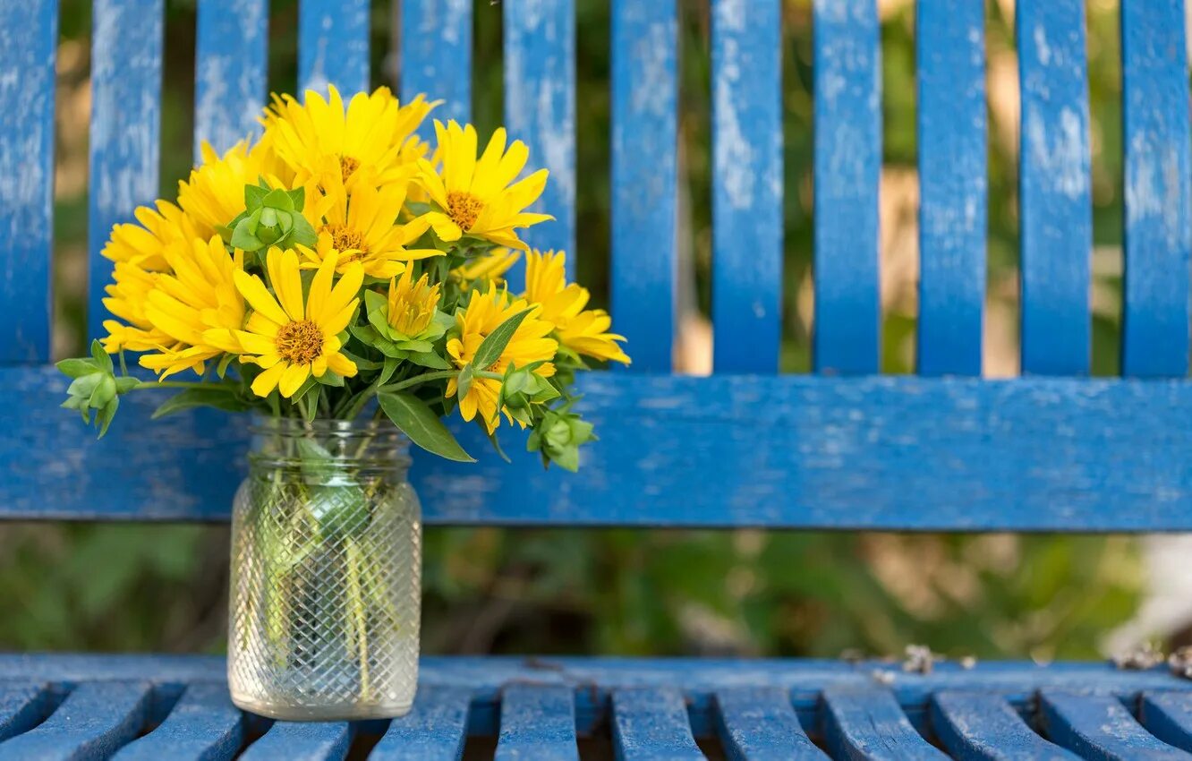 Flower bank. Баночка с цветами. Банка на фоне цветы картинки. Цветы в баночке. Flower bank.