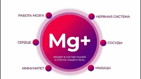 Сил актив
