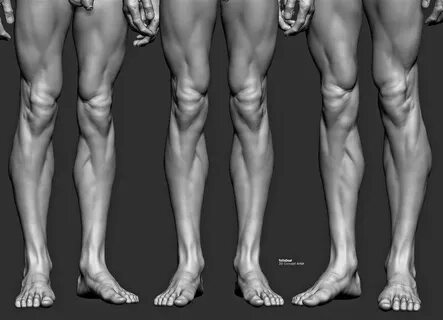 Leg reference