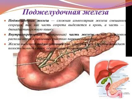Экранирована поджелудочная железа что это
