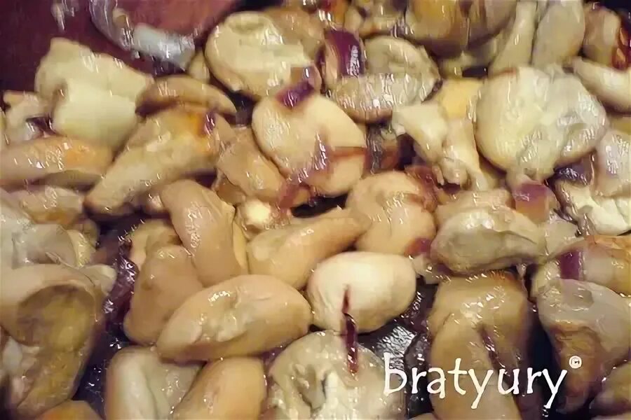 Как жарить дождевики грибы на сковороде. Как жарить дождевики грибы на сковороде