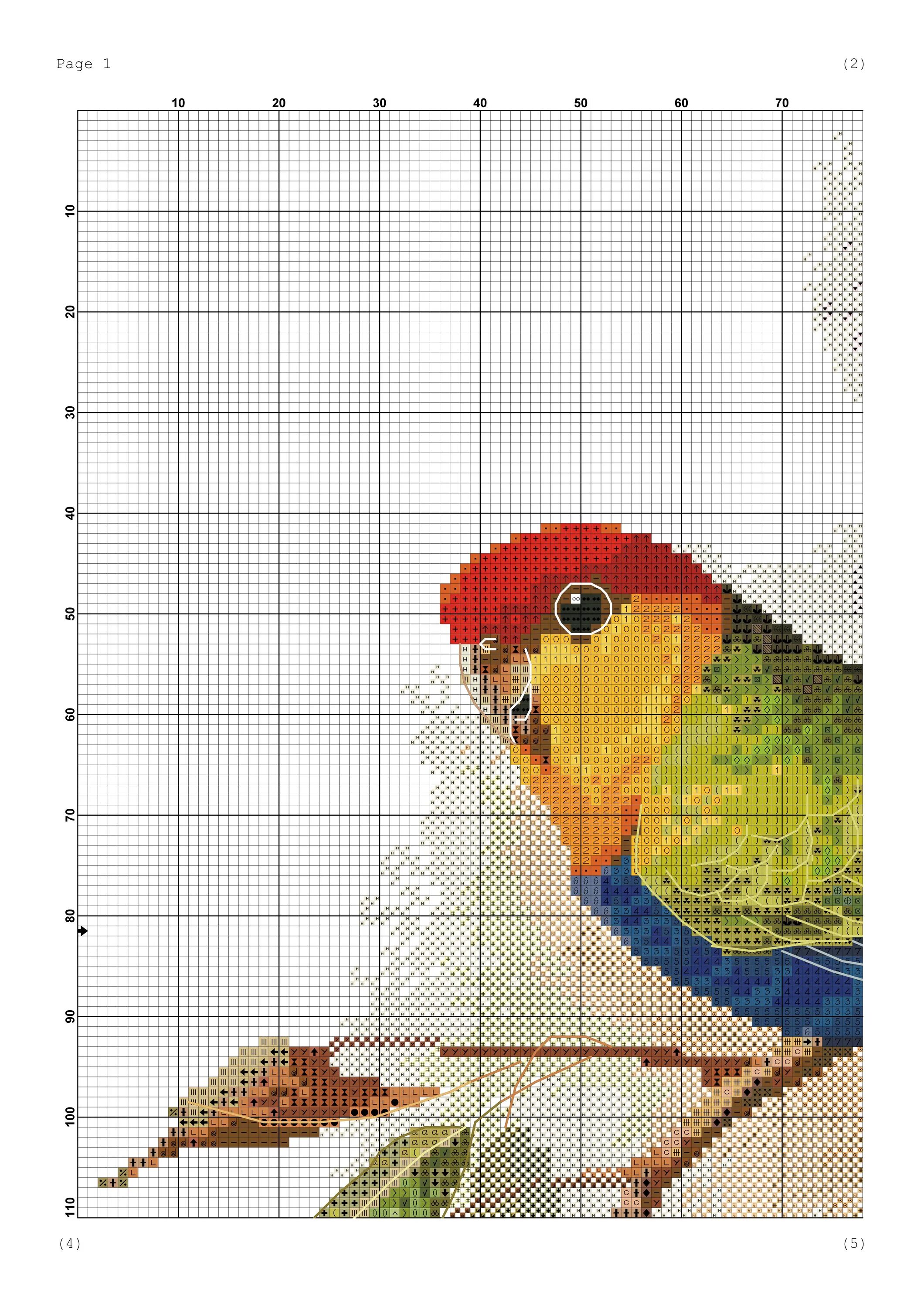 попугаи вышивают. вышивка попугаи крестиком схема. вышивка дмс eva rosenstand попугаи. попугаи вышивают. попугай жако вышивка.