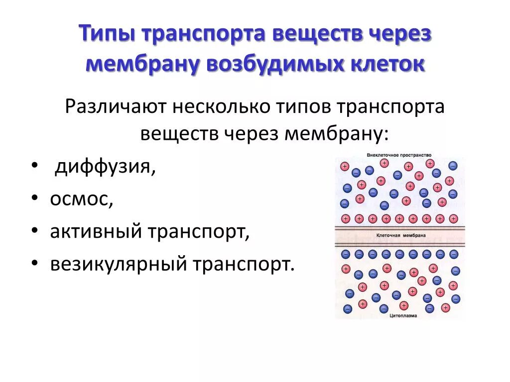 Какие вещества участвуют в транспорте веществ. Транспорт веществ через мембрану клетки. Механизмы транспорта через клеточную мембрану. Механизмы прохождения веществ через клеточную мембрану. Виды транспортных веществ через клеточную мембрану.