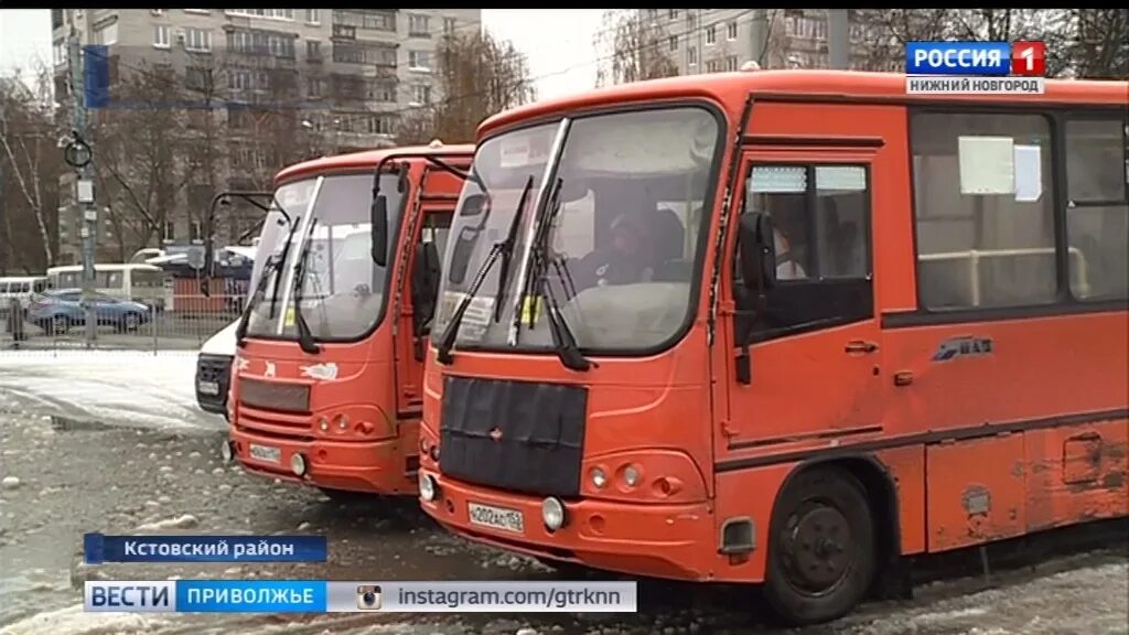 73 автобус нижний. Автобус 81 Нижний Новгород. Т76 автобус Нижний Новгород. Маршрутка ПАЗ Нижний Новгород. 76 Автобус Нижний Новгород.