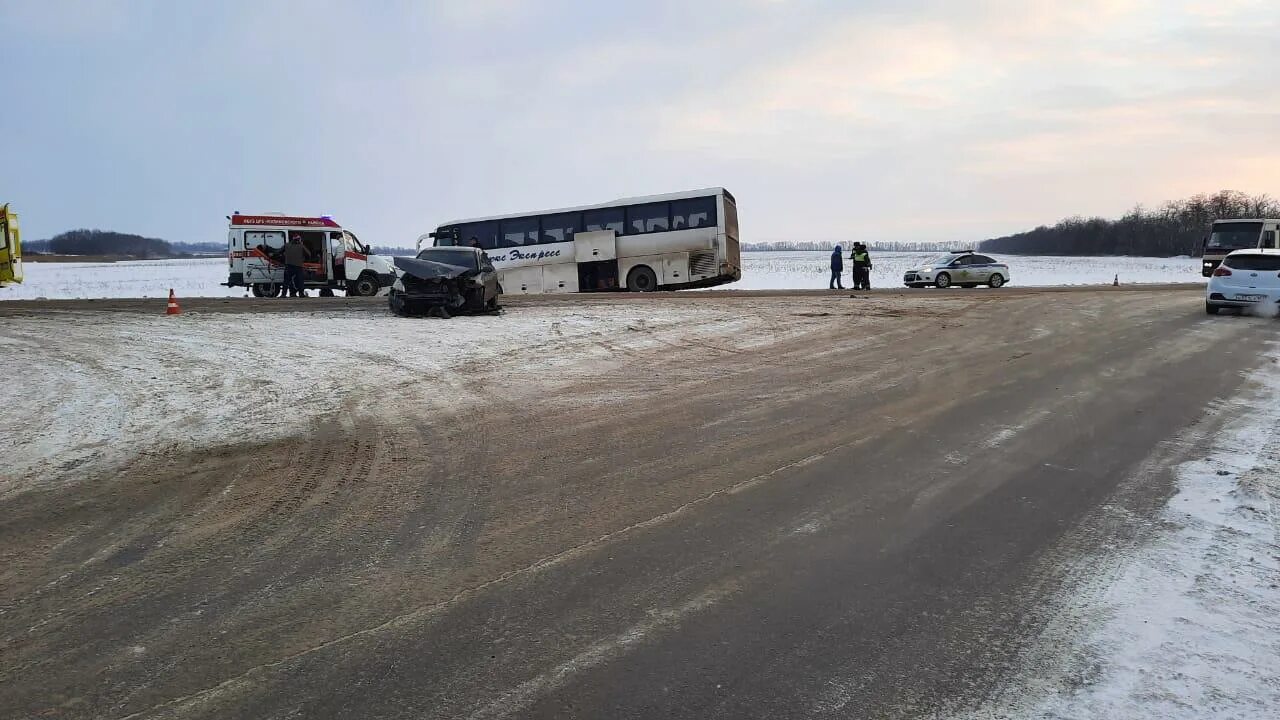 Автобус 33 самбек. Автобус 33 самбек
