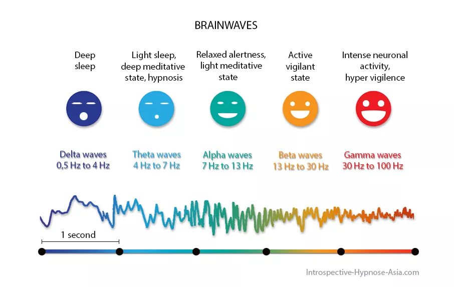 Brain wave