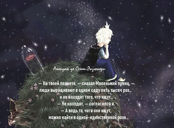 Цитаты из маленького принца про розу. Маленький принц отрывок. Цитаты из маленького принца про розу. Маленький принц про розу. Маленький принц сад роз.
