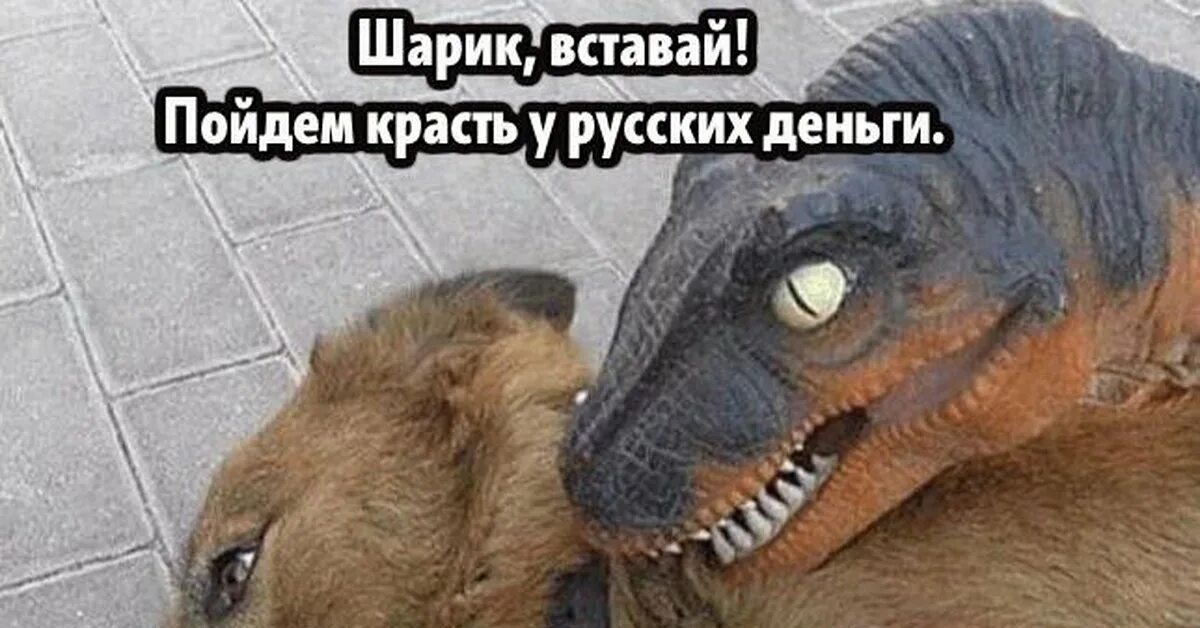Денег нет мы идем воровать песня
