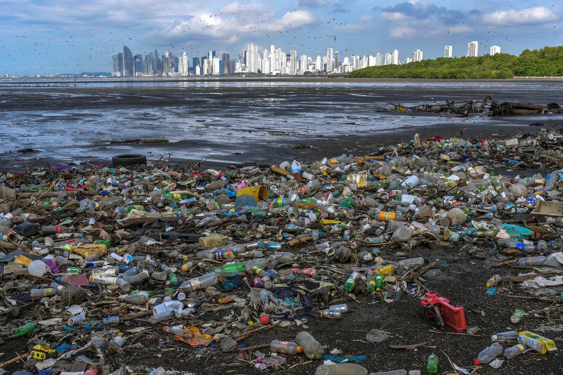 Баренцево море загрязненность. Загрязненные воды. Пластиковые отходы в море. Твердые отходы в воде. Загрязнение воды мусором.