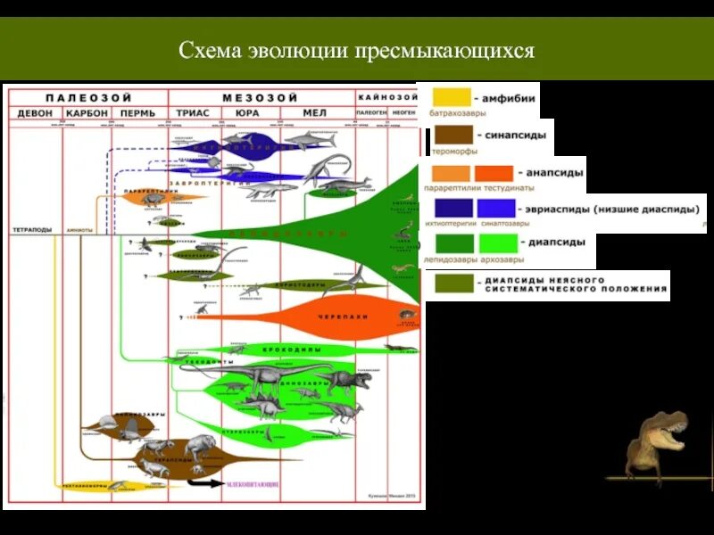 Прогрессивными характеристиками птиц в сравнении с рептилиями. Эволюционная схема развития пресмыкающихся. Эволюция рептилий схема. Признаки характеризующие прогрессивную эволюцию рептилий. Эволюция птиц.