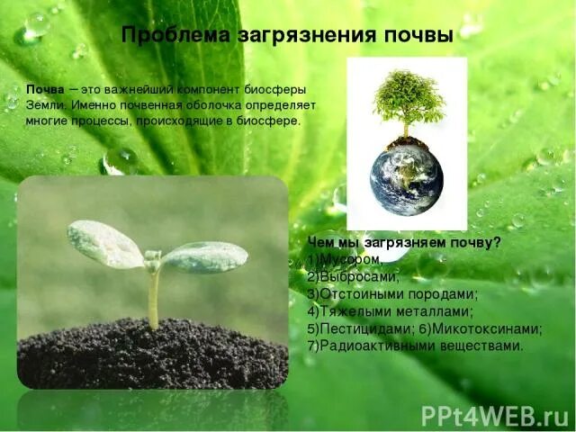 Пути решения экологических проблем почвы. Загрязнение почвы пути решения. решение проблемы загрязнения почвы. способы решения загрязнения почвы.