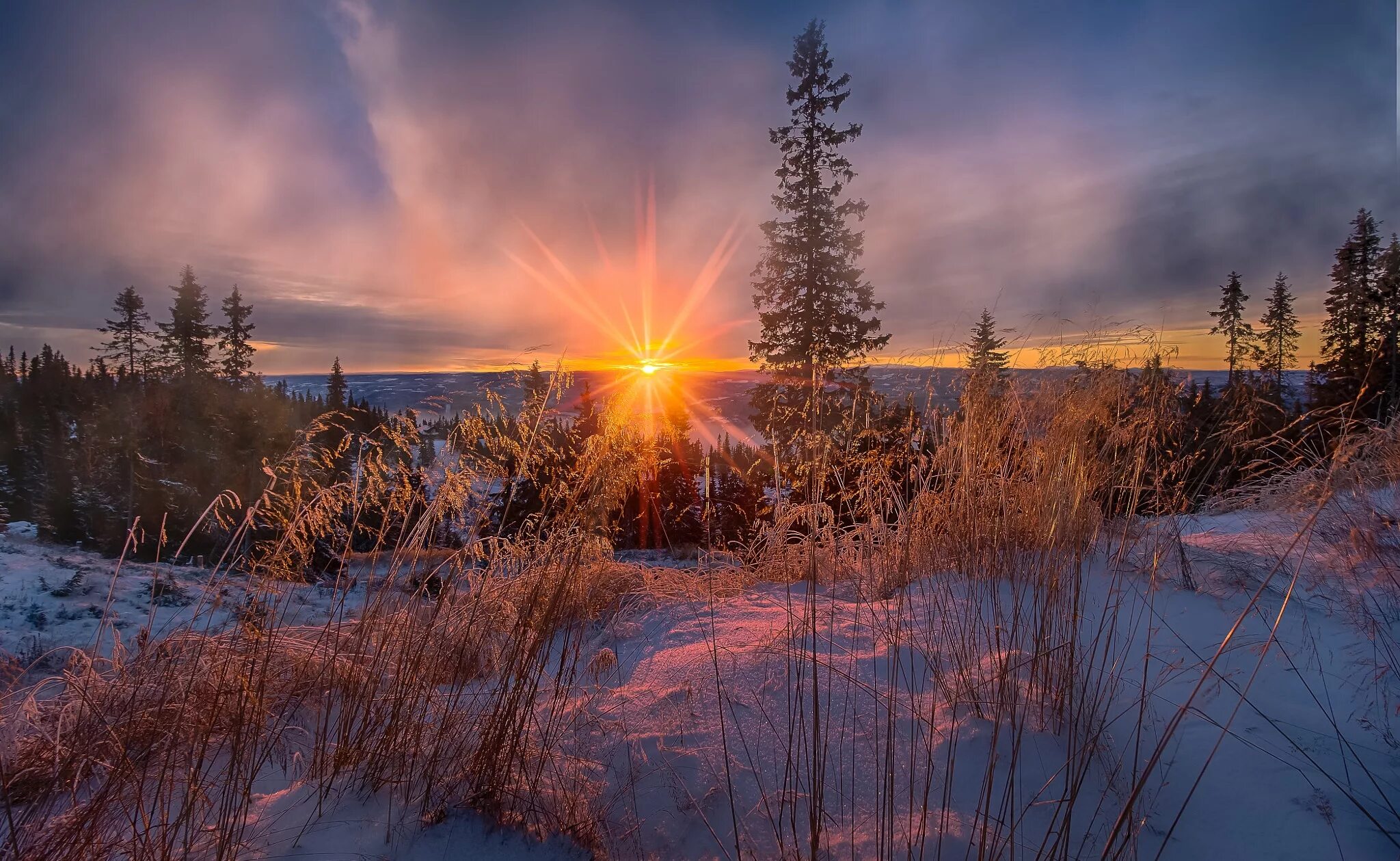 Jorn Allan Pedersen(Норвегия). Зимний закат. Рассвет зимой. Морозный закат. В морозные дни солнце восходит в тяжелом
