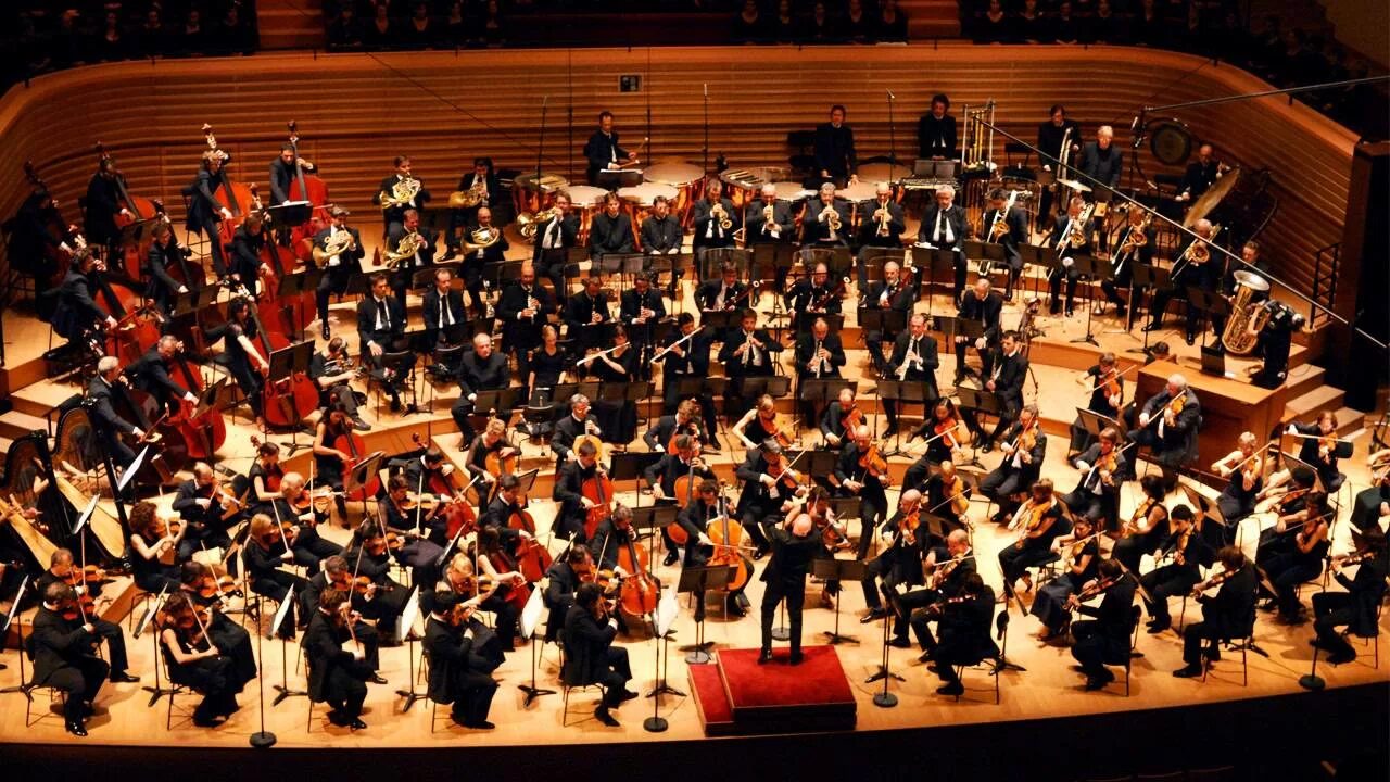 Белградский симфонический оркестр театр. Симфонический оркестр для детей. Симфонический оркестр картина. Иллюстрация симфонического оркестра. Иллюстрация симфонического оркестра.