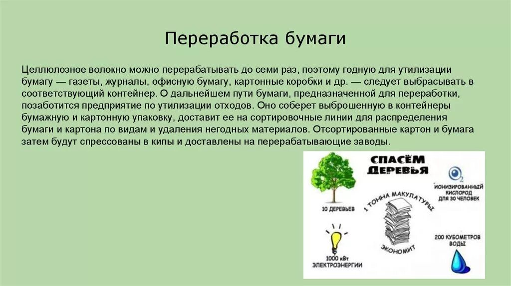 Сколько раз перерабатывают бумагу