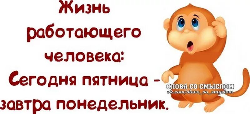 высказывания про настроение. про пятницу со смыслом. фразы про пятницу. статусы про пятницу прикольные. про пятницу со смыслом.