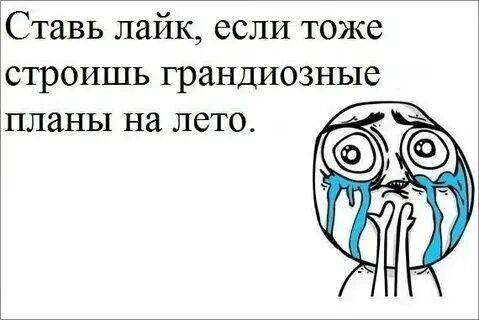 Фокси мемы. Поставьте зачет. Да хозяйка мем. Ну поставь мне песню. Ну поставь мне песню.