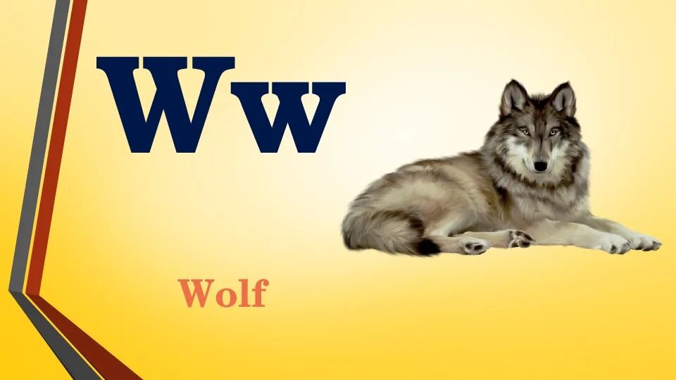 Буква в волк. Английская буква w. A Wolf карточка. В волк алфавит.