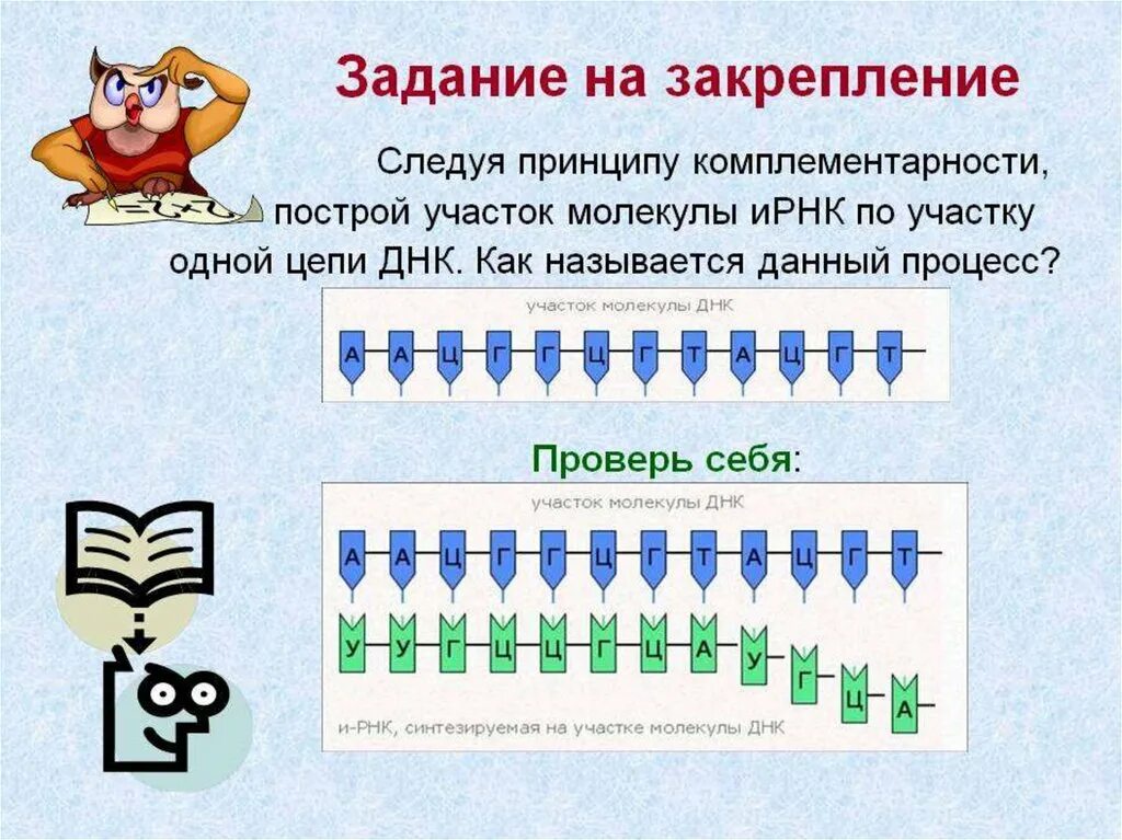 Как называют данный