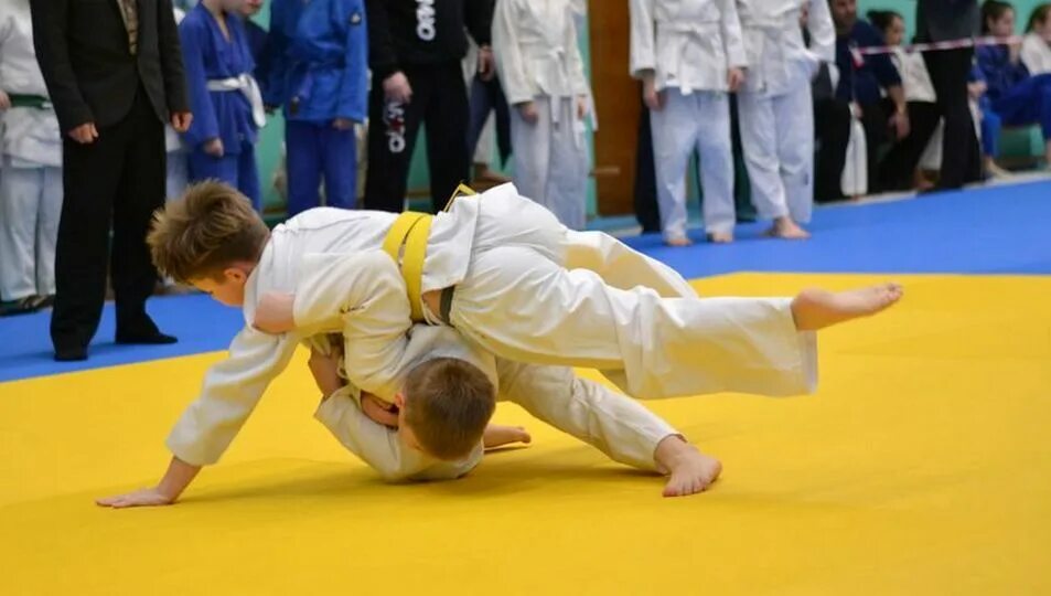 Соревнования дзюдо выборг. Кудрявцев эдуард александрович выборг. Дзюдо выборг. Дзюдоистки россии. Омелько илья дзюдо.